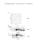 COMPOSITIONS AND METHODS FOR TREATING CANCER BY MODULATING HER-2 AND EGF RECEPTORS diagram and image