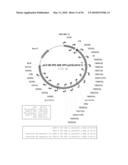 VACCINE AGAINST AFRICAN HORSE SICKNESS VIRUS diagram and image