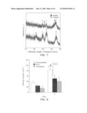 Guided bone regeneration membrane and manufacturing method thereof diagram and image