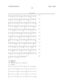 LACTOSE-POSITIVE RECOMBINANT LEUCONOSTOC STRAIN diagram and image