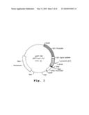 EXPRESSION OF HUMAN MILK PROTEINS IN TRANSGENIC PLANTS diagram and image