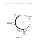 EXPRESSION OF HUMAN MILK PROTEINS IN TRANSGENIC PLANTS diagram and image