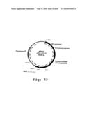 EXPRESSION OF HUMAN MILK PROTEINS IN TRANSGENIC PLANTS diagram and image