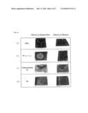 Patterning apparatus and method using dip-pen nanolithography diagram and image