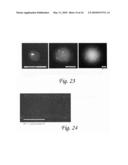 POLYMERIC MICRO-CANTILEVERS FOR ULTRA-LOW VOLUME FLUID AND LIVING CELL DEPOSITION diagram and image