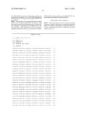 METHOD FOR MEASURING DNA METHYLATION diagram and image