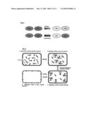 METHOD FOR DETECTING INTERACTIONS BETWEEN TWO AND MORE BIOLOGICAL MACROMOLECULES diagram and image