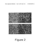 Trans-Differentiation And Re-Differentiation Of Somatic Cells And Production Of Cells For Cell Therapies diagram and image