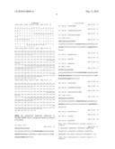 MAMMALIAN EXPRESSION VECTOR pUHAB diagram and image