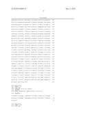 MAMMALIAN EXPRESSION VECTOR pUHAB diagram and image