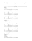 MAMMALIAN EXPRESSION VECTOR pUHAB diagram and image