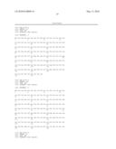 MAMMALIAN EXPRESSION VECTOR pUHAB diagram and image