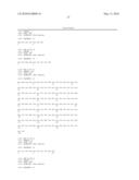 MAMMALIAN EXPRESSION VECTOR pUHAB diagram and image