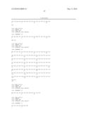 MAMMALIAN EXPRESSION VECTOR pUHAB diagram and image