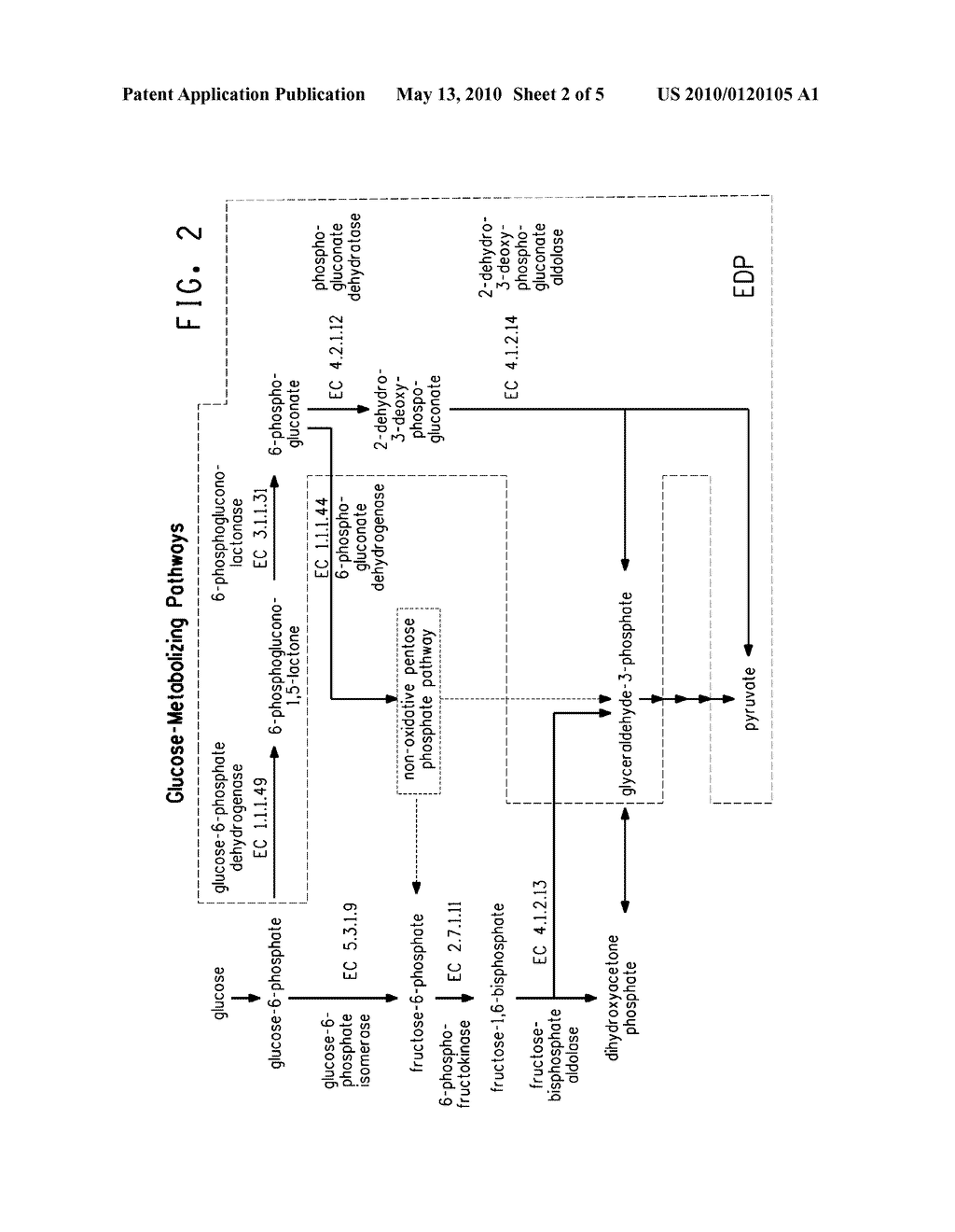 CARBON PATHWAY OPTIMIZED PRODUCTION HOSTS FOR THE PRODUCTION OF ISOBUTANOL - diagram, schematic, and image 03