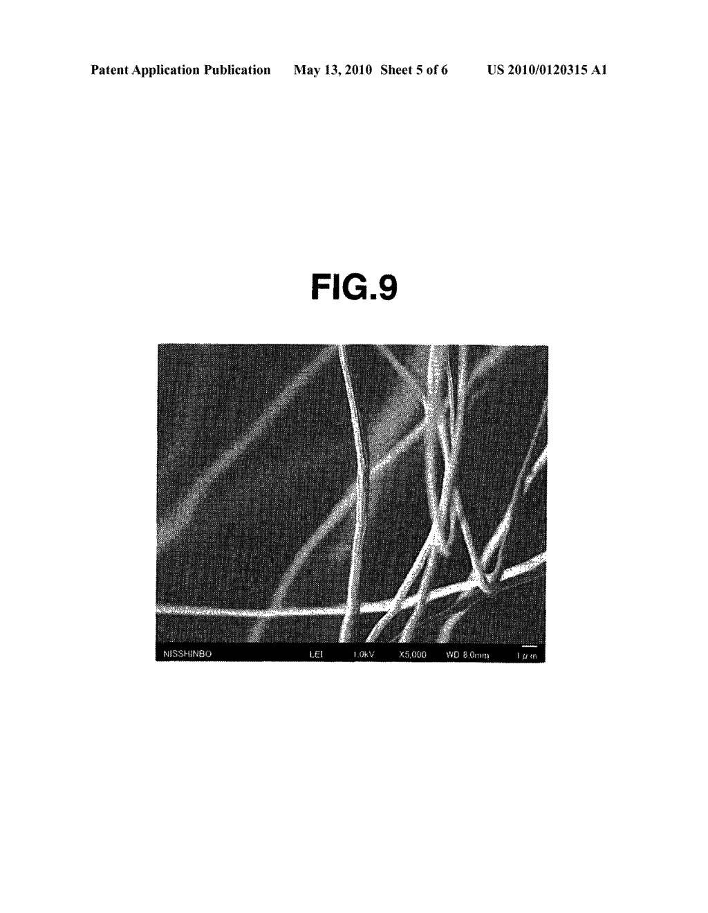 ANTIBACTERIAL NANOFIBER - diagram, schematic, and image 06