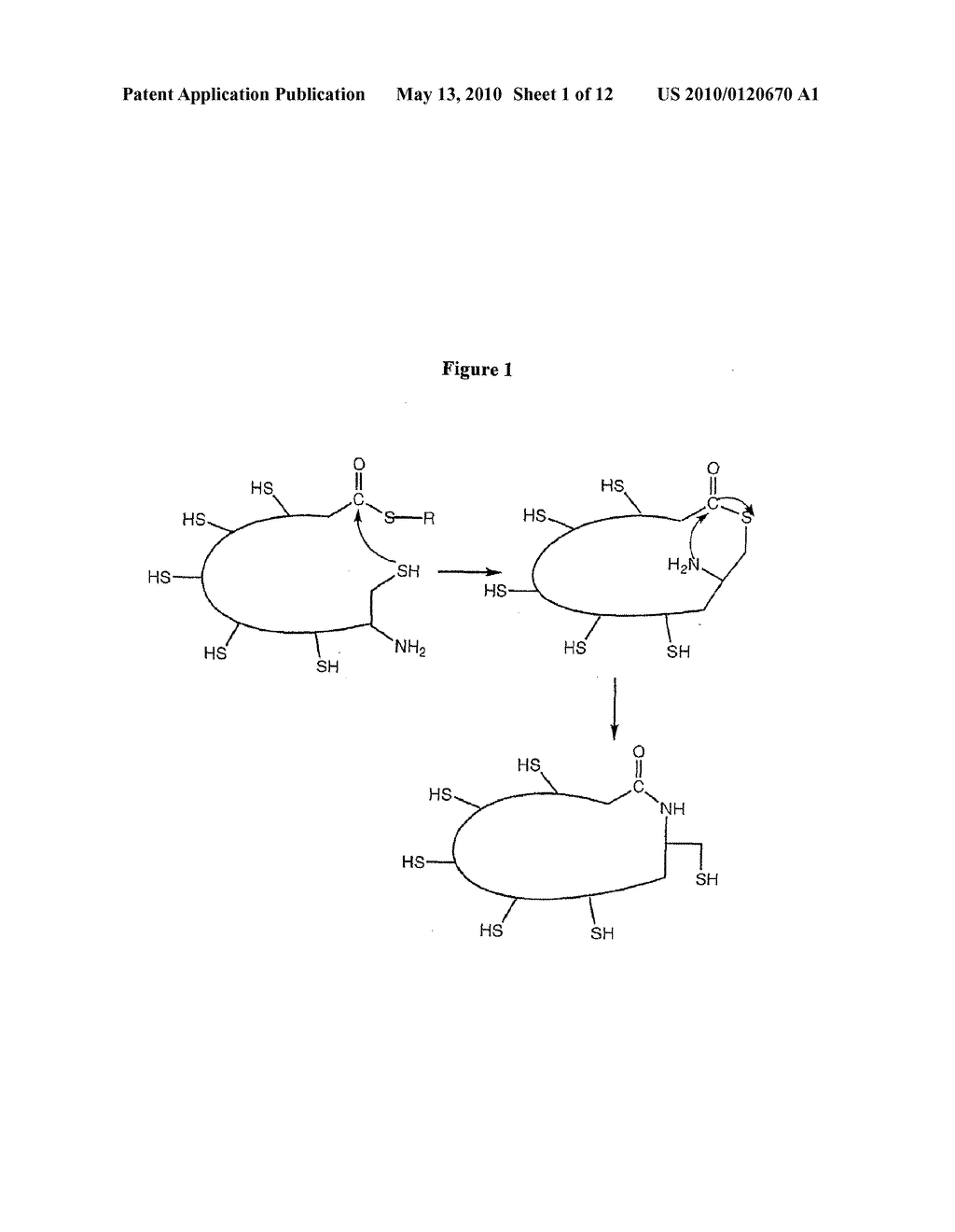 CYCLISED ALPHA-CONOTOXIN PEPTIDES - diagram, schematic, and image 02