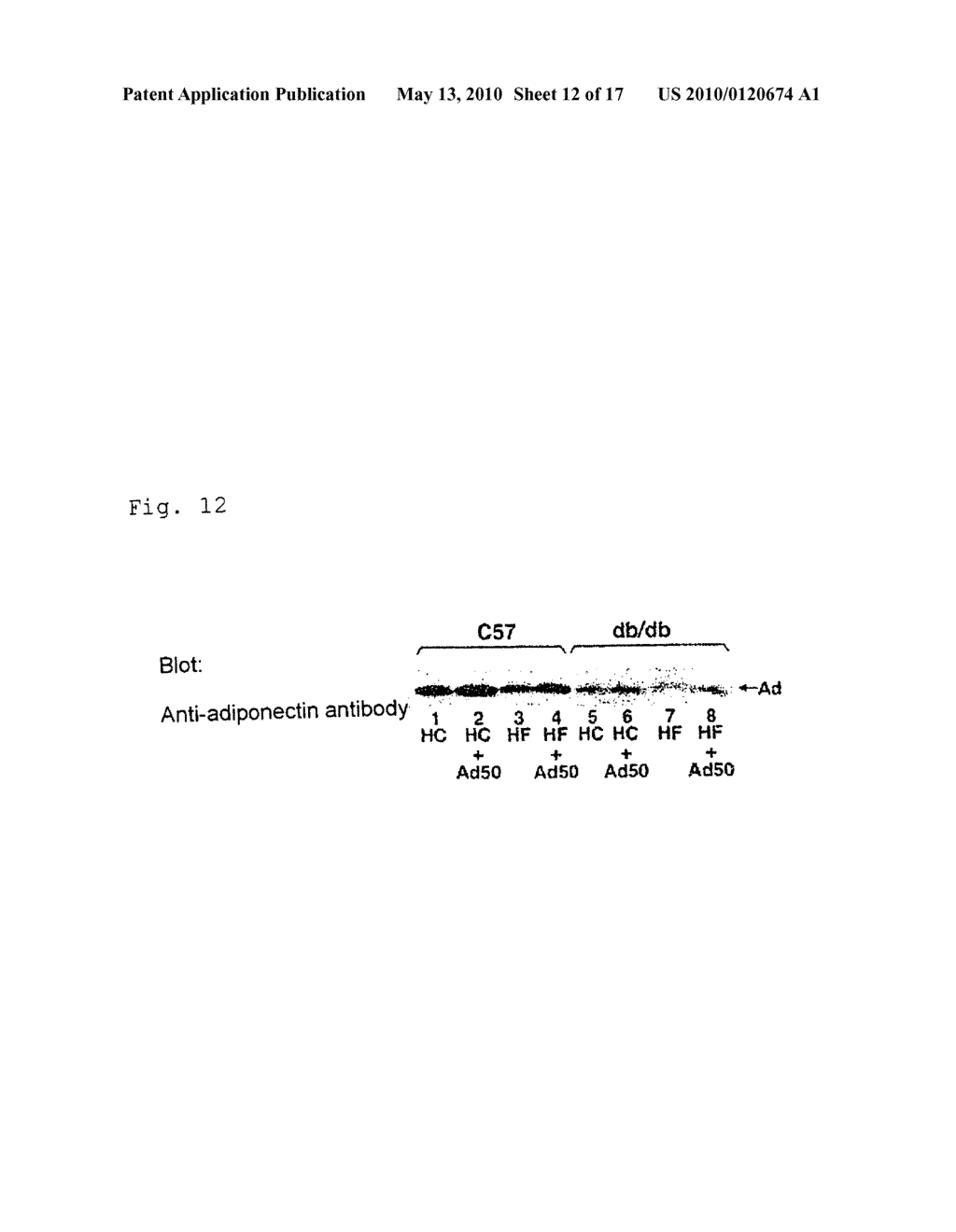 INSULIN RESISTANCE IMPROVING AGENTS - diagram, schematic, and image 13