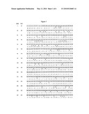 Prame derived peptides and immunogenic compositions comprising these diagram and image