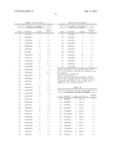 Prame derived peptides and immunogenic compositions comprising these diagram and image