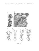 POLYPEPTIDES THAT BIND MEMBRANE PROTEINS diagram and image