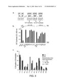 POLYPEPTIDES THAT BIND MEMBRANE PROTEINS diagram and image