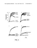 POLYPEPTIDES THAT BIND MEMBRANE PROTEINS diagram and image