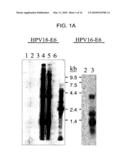 METHODS AND COMPOSITIONS FOR TREATING CERVICAL CANCER diagram and image