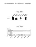 METHODS AND COMPOSITIONS FOR TREATING CERVICAL CANCER diagram and image