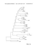 IDENTIFICATION AND USE OF SMALL MOLECULES TO MODULATE TRANSCRIPTION FACTOR FUNCTION AND TO TREAT TRANSCRIPTION FACTOR ASSOCIATED DISEASES diagram and image