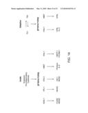 IDENTIFICATION AND USE OF SMALL MOLECULES TO MODULATE TRANSCRIPTION FACTOR FUNCTION AND TO TREAT TRANSCRIPTION FACTOR ASSOCIATED DISEASES diagram and image