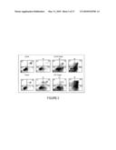 Novel Compounds for Treatment of Cancer and Disorders Associated with Angiogenesis Function diagram and image