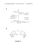 Novel Compounds for Treatment of Cancer and Disorders Associated with Angiogenesis Function diagram and image