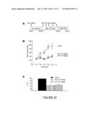 Novel Compounds for Treatment of Cancer and Disorders Associated with Angiogenesis Function diagram and image