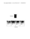 Novel Compounds for Treatment of Cancer and Disorders Associated with Angiogenesis Function diagram and image