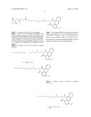 AZONAFIDE DERIVED TUMOR AND CANCER TARGETING COMPOUNDS diagram and image