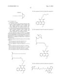 AZONAFIDE DERIVED TUMOR AND CANCER TARGETING COMPOUNDS diagram and image