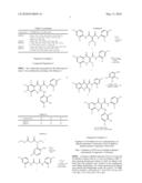 Compositions for Treating Hyperproliferative Vascular Disorders and Cancers diagram and image