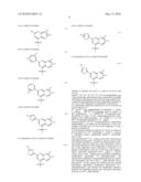 MACROCYLIC INHIBITORS OF HEPATITIS C VIRUS diagram and image