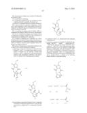 MACROCYLIC INHIBITORS OF HEPATITIS C VIRUS diagram and image