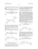 HETEROCYCLIC GAMMA SECRETASE MODULATORS diagram and image