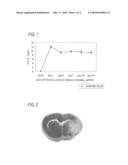 THERAPEUTIC AGENT AND DIAGNOSTIC AGENT FOR MITOCHONDRIAL DYSFUNCTION BRAIN DISEASES diagram and image