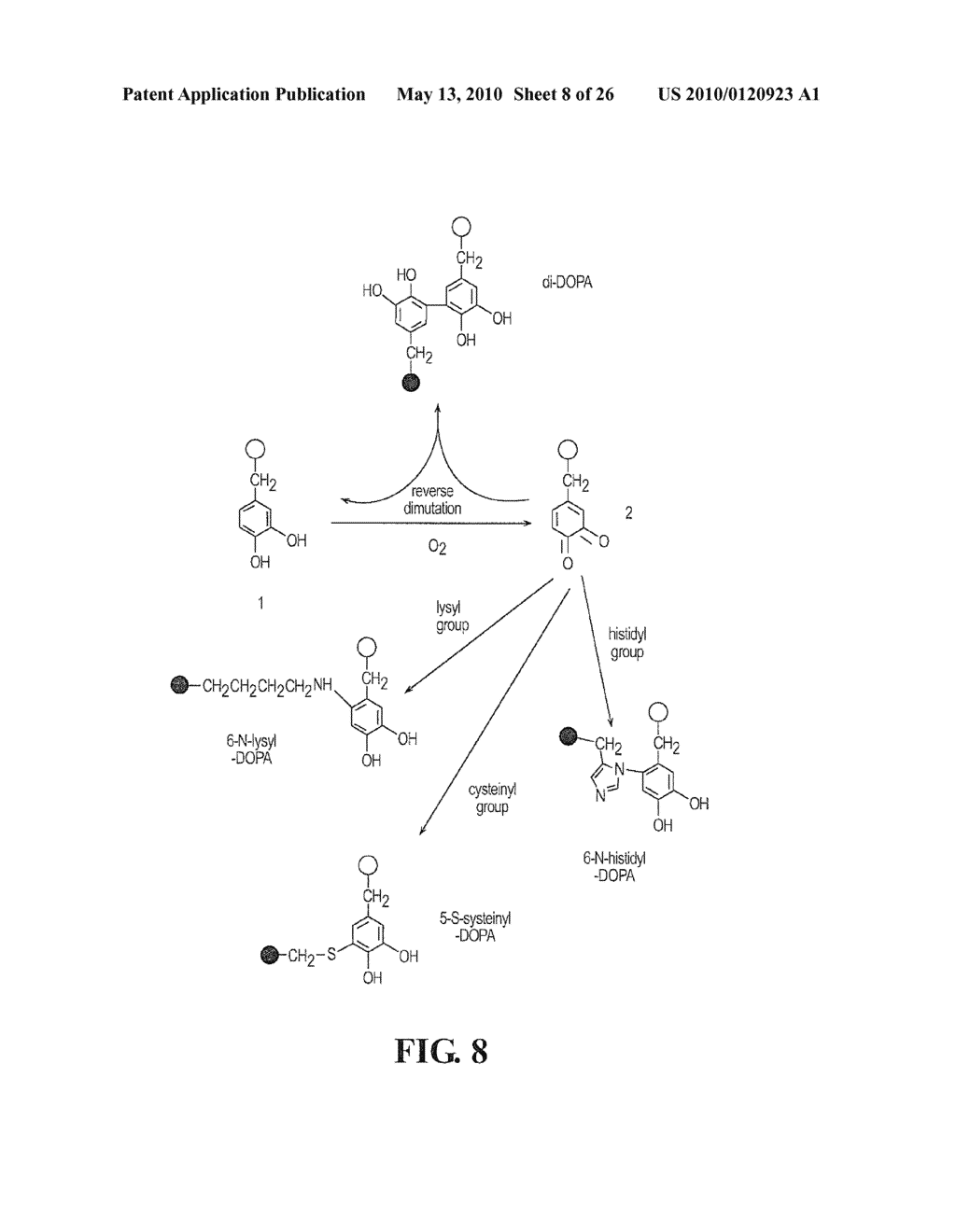 ADHESIVE COMPLEX COACERVATES AND METHODS OF MAKING AND USING THEREOF - diagram, schematic, and image 09