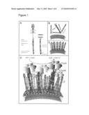 Template-directed assembly of receptor signaling complexes diagram and image