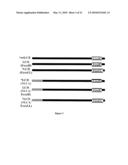 CHIMERA BOTULINUM TOXIN TYPE E diagram and image