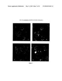 CHIMERA BOTULINUM TOXIN TYPE E diagram and image