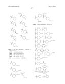 INDENOISOQUINOLINONE ANALOGS AND METHODS OF USE THEREOF diagram and image