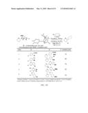 Slow Release of Organoboronic Acids in Cross-Coupling Reactions diagram and image