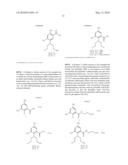 Processes of preparing asymmetric dinitrobenzamide mustard compounds, intermediate compounds useful therein and products obtained therefrom diagram and image