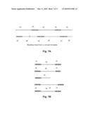 METHODS FOR ACCURATE SEQUENCE DATA AND MODIFIED BASE POSITION DETERMINATION diagram and image